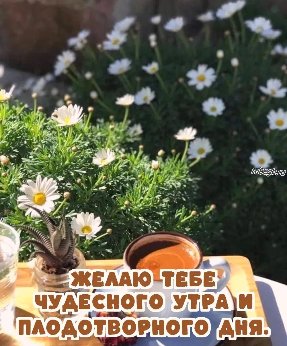 Открытки и картинки «Доброе утро с кофе!»
