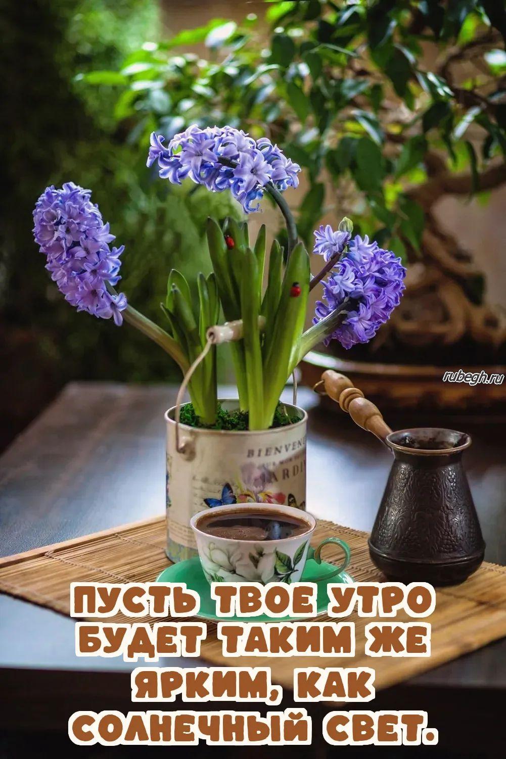 Открытки и картинки «Доброе утро с кофе!»